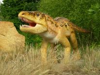 Парк динозаврів в Польщі 24