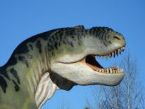Парк динозаврів в Польщі 25